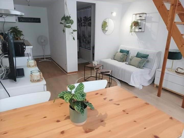 Duplex A La Gare Du Mans Bed and Breakfast Le Mans Eksteriør billede